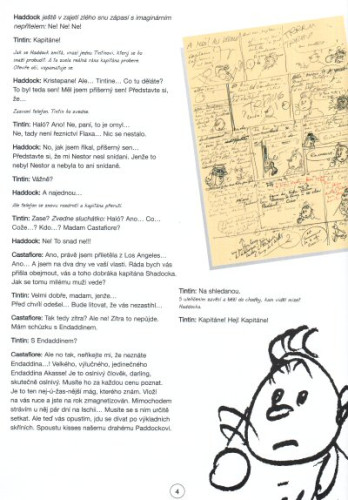 Tintinova dobrodružství 24: Tintin a alf-art