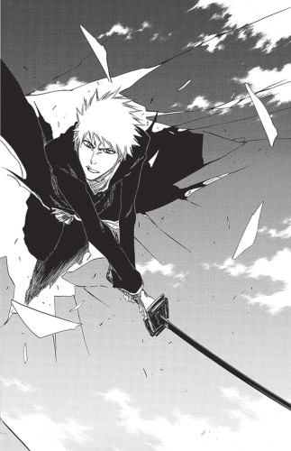 Bleach 45: The Burnout Inferno