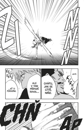 Bleach 28: Barons Lecture Full-Course