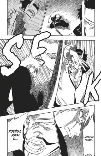 Bleach 29: The Slashing Opera