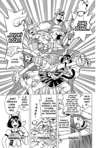 My Hero Academia - Moje hrdinská akademie 9: Můj hrdina