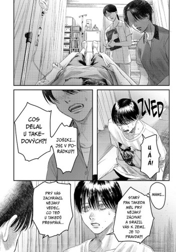 Léto, kdy umřel Hikaru 5