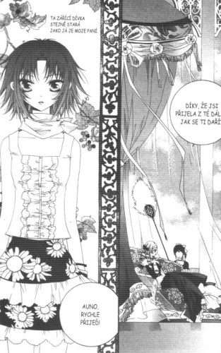 Platina 01
