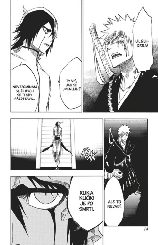 Bleach 31: Don't Kill My Volupture