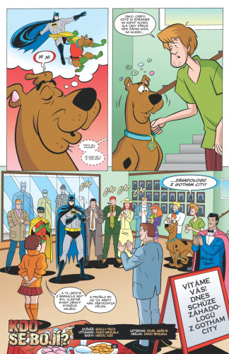 Scooby-Doo!: Týmovka