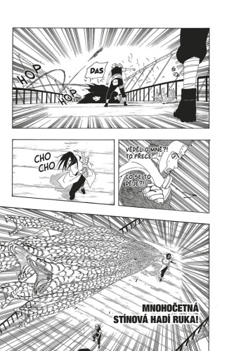 Naruto 33: Přísně tajná mise