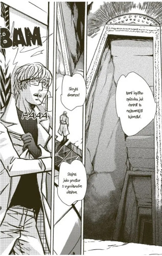Simon Sues 6: Případ zapovězené knihovny