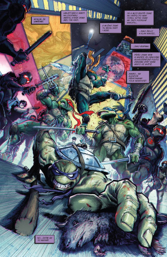 Teenage Mutant Ninja Turtles 2: New York versus Želvy