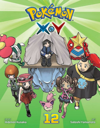 Pokémon X•Y 12