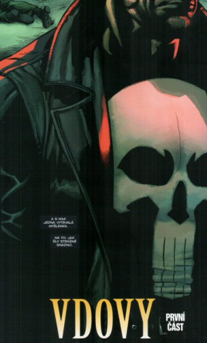 Punisher MAX 8: Vdovy