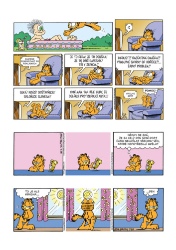 Garfield: Pozor! Nadrozměrný náklad (č. 54)