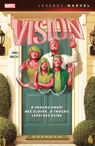 Vision