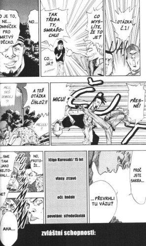 Bleach 01: The Death and the Strawberry