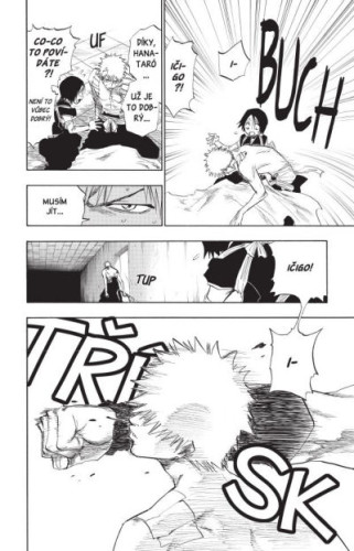 Bleach 12: Flower On The Precipice
