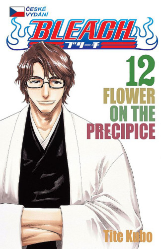 Bleach 12: Flower On The Precipice