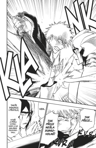 Bleach 31: Don't Kill My Volupture