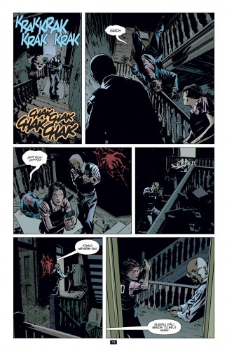 Gotham Central 3: V rajonu šílenství