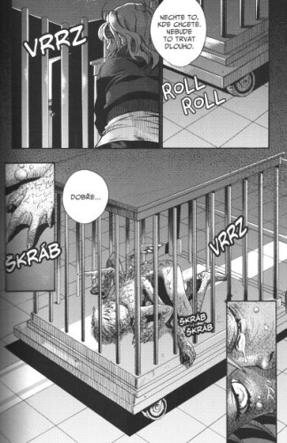 Maximum Ride: Manga 2