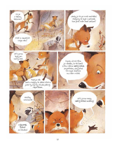 Pan Jezevec a paní Liška 2 - Rušná domácnost