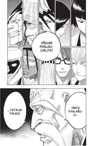 Bleach 12: Flower On The Precipice