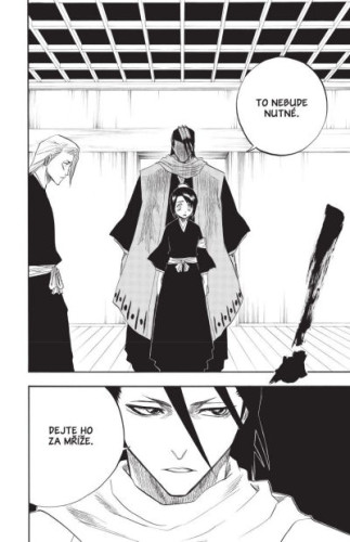Bleach 12: Flower On The Precipice