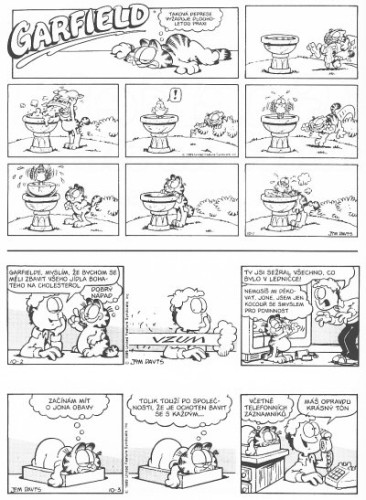 Garfield: místo na slunci (č. 19)
