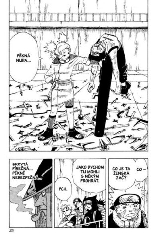 Naruto 09: Nedži versus Hinata