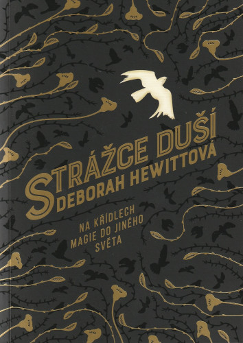 Strážce duší