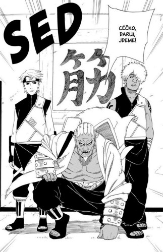 Naruto 49: Summit pěti stínů