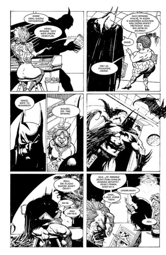 DC světy Neila Gaimana (Legendy DC)