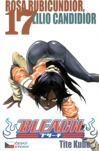 Bleach 17: Rosa Rubicundior, Lilio Candidior