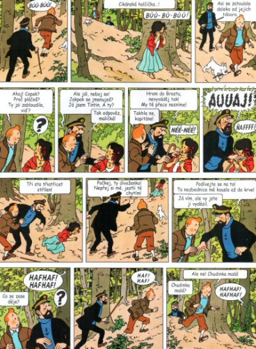 Tintinova dobrodružství 21: Šperky Madam Castafiore