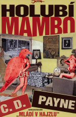 Holubí mambo
