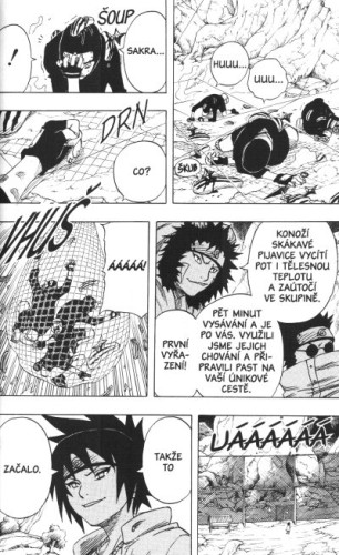 Naruto 06: Sakuřino rozhodnutí