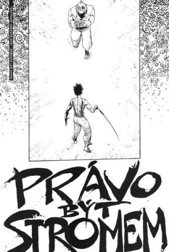 Aargh! 10 (obálka Václav Šlajch)