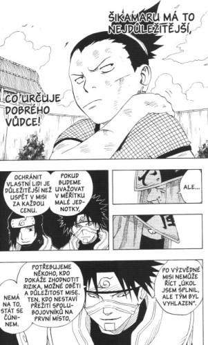 Naruto 13: Rozuzlení
