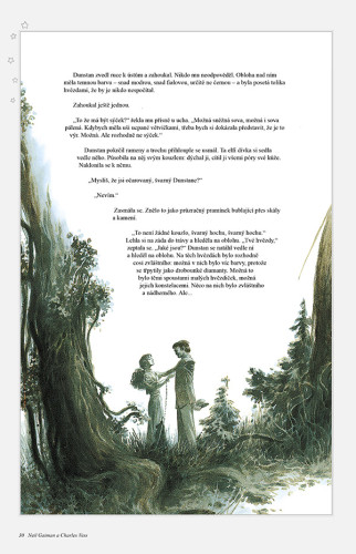 Hvězdný prach: romance v říši kouzel