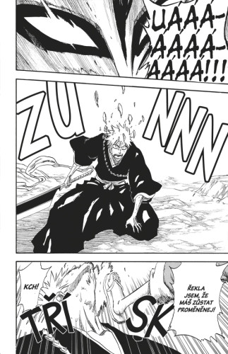Bleach 26: The Mascaron Drive