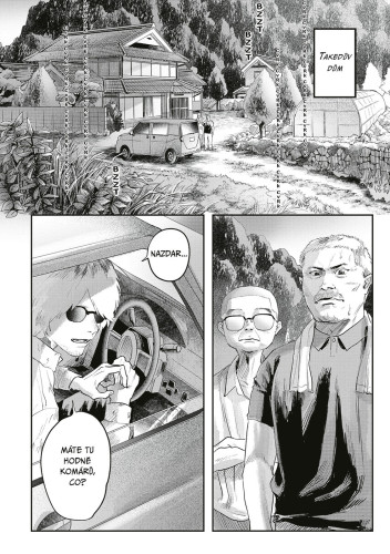 Léto, kdy umřel Hikaru 3