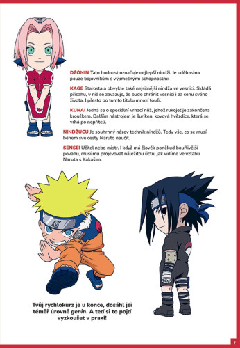 Naruto: Hry a úkoly