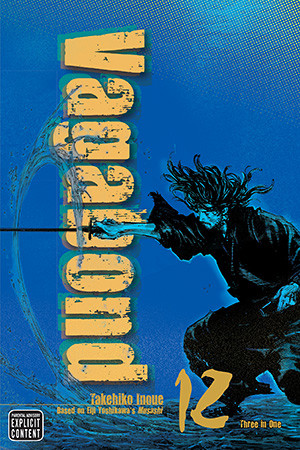Vagabond 12
