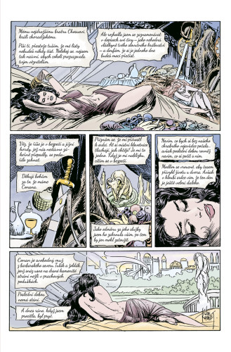Conan 9: Společenstvo meče