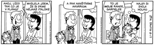 Garfield si nakládá (č. 49)