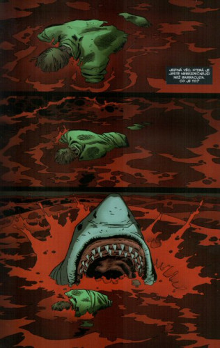 Punisher MAX 6: Barracuda
