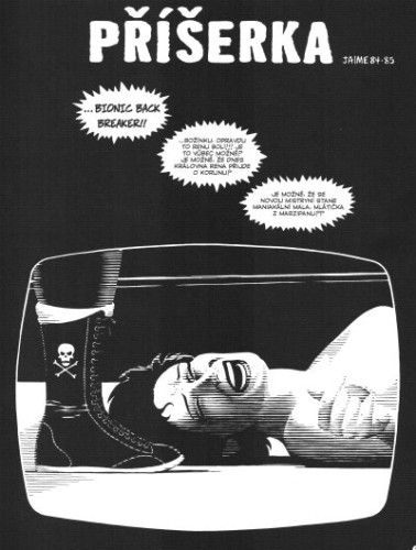 Holka z H.O.P.P.E.R.S.: Kniha Love & Rockets