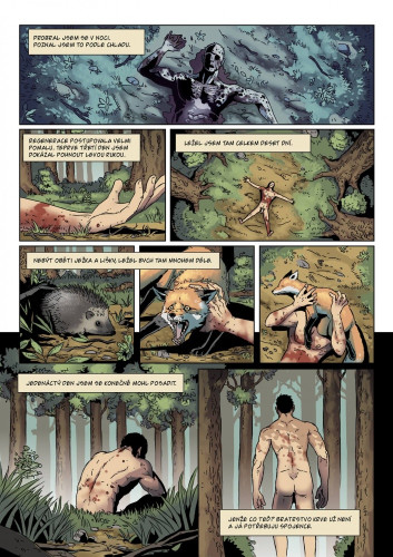 Bratrstvo Krve: Hustej nářez KOMIKS