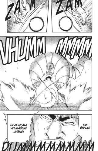 Bleach 30: There Is No Heart Withnout You