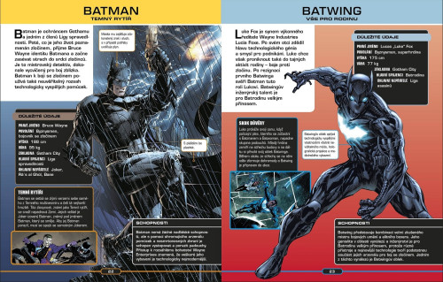 Kompletní průvodce světem postav DC Comics