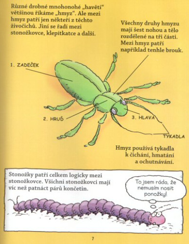 Davidův dům: Havěť