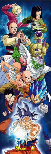 Plakát na dveře Dragon Ball